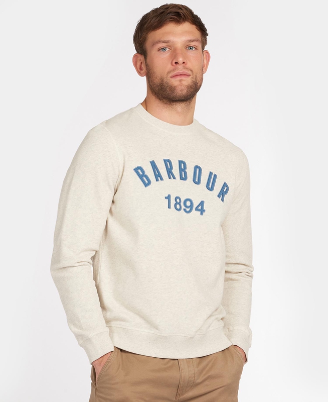 Barbour John Crew Neck Sweatshirts Heren Beige | 230475-TOU